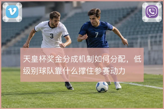 天皇杯奖金分成机制如何分配,低级别球队靠什么撑住参赛动力