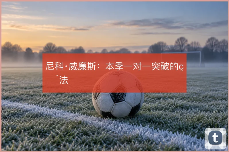 尼科·威廉斯：本季一对一突破的用法