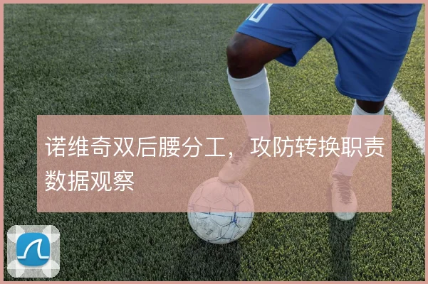 诺维奇双后腰分工,攻防转换职责数据观察